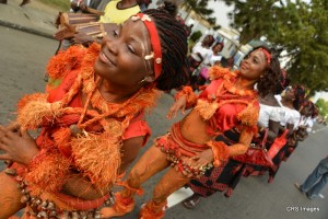 Cultural parade 2013 (31)