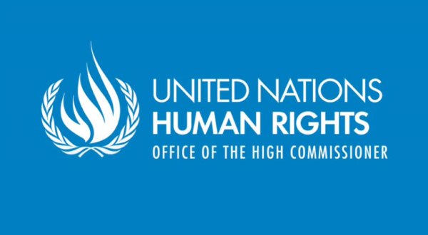UN Human Rights Committee to review: Chile, Georgia, Ireland, Japan, Malawi and Sudan