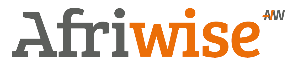 Afriwise launches first-of-its-kind consulting firm in Africa