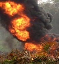 Fire Guts Spill Site At Shell’s Oil Field in Bayelsa