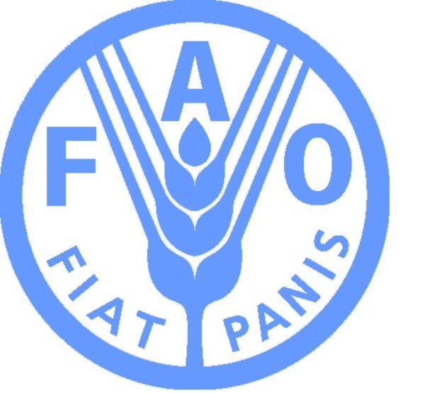 Press conference to present new UN hunger report – FAO headquarters, 16 September