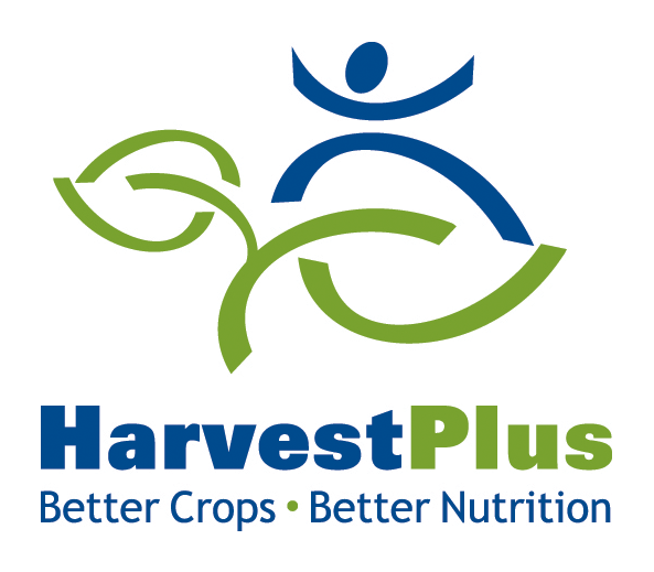 Afro-Pop, Rap and R&B Musicians Promote Healthier Diets—through Beans