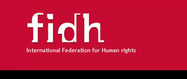 Sudan: Arrest of the President of the Sudan Human Rights Monitor (SHRM)