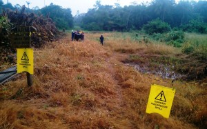OIL SPILL IMPACTED VEGETATION  WILTED BESIDE KOLO CREEK MANIFOLD OPERATED BY SHELL SHELL PETROLEUM DEVELOPMENT COMPANY IN OGBIA LOCAL GOVERNMENT IN BAYELSA., WHILE OIL WORKERS  (IN FRONT) RECOVER SPILT CRUDE INTO PLASTIC TANK.26-4-2015