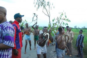 Youths showing rotten cassava tubers at one of scenes of the flood in Ngwogwo, a community in Ishiagu, Ivo LGA on Moday. Photo: EBSG