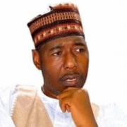 Zulum Slams Military Over Fresh Abduction Of Travellers