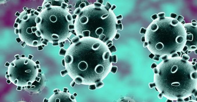 Coronavirus: Nigeria Records 44 Cases