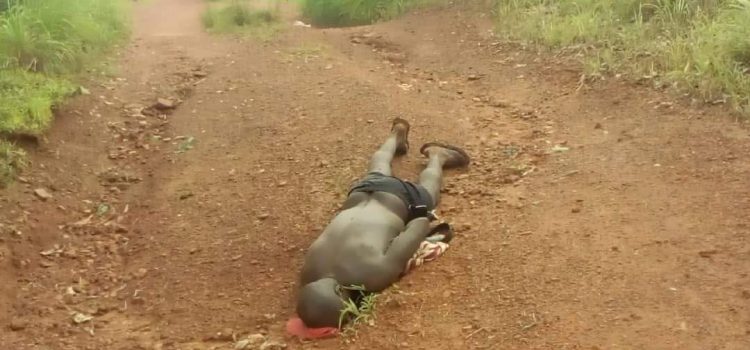 Fulani Herdsmen Caught After Killing Native At Ihube