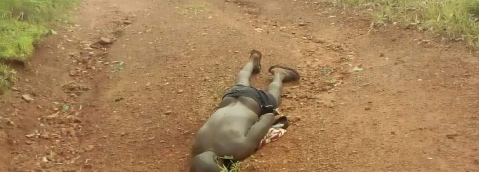Fulani Herdsmen Caught After Killing Native At Ihube