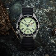 CITIZEN Asia Limited Promaster NY011 series
