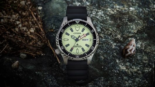 CITIZEN Asia Limited Promaster NY011 series