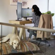 Microsoft Forecasts a Hybrid New Normal of Work in Asia-Pacific