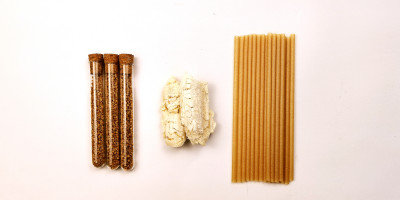 Taiwan’s Sugarcane Straws Explore US Market