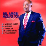 Anambra 2021: Amobi Nwokafor, Accomplished Accountant And Intellectual Throws Hat To The Ring