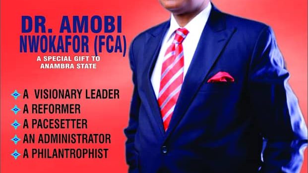 Anambra 2021: Amobi Nwokafor, Accomplished Accountant And Intellectual Throws Hat To The Ring