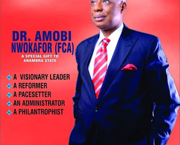 Anambra 2021: Amobi Nwokafor, Accomplished Accountant And Intellectual Throws Hat To The Ring