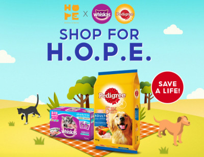 Shop for a Cause, Shop for H.O.P.E.