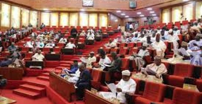 Boko Haram Mounts Checkpoints In Borno, Collects Levies — Senate