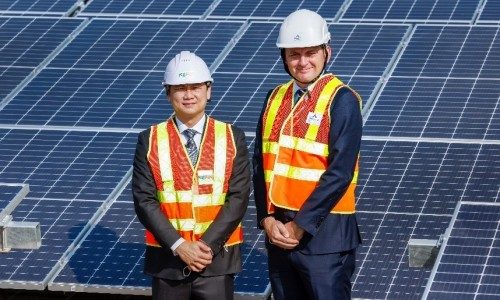 NEFIN and Alliance Joined Hands to Generate Solar Power Offsetting 39 tonnes of CO2 Annually