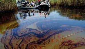Environmentalists, Regulators Visit Spill Impacted Communities In Bayelsa 