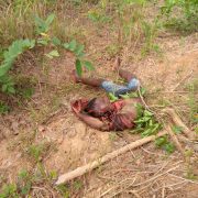 Herdsmen Kill Priest, Many Others In Attack On Ebonyi Communities