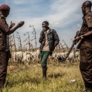 Many Feared Dead, Houses Burnt As Suspected Herdsmen Attack Another Ebonyi Community