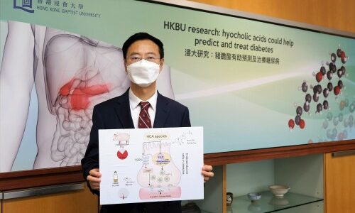 Hong Kong Baptist University-led research reveals hyocholic acids are promising agents for diabetes prediction and treatment