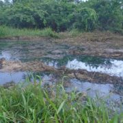 Residents Of Ikarama In Bayelsa Bemoan Impact Of Spill From Shell’s Ruptured Pipeline
