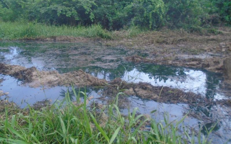 Residents Of Ikarama In Bayelsa Bemoan Impact Of Spill From Shell’s Ruptured Pipeline