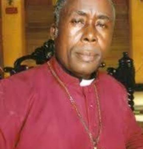 Insecurity: Nmalagu Advices FG To Adopt Okowa’s Model