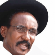 Buhari Has Mismanaged Nigeria’s Diversity, Says Colonel Dangiwa Umar