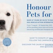 Dilys’ Collection Partners with Dog Rescue Action International to Launch Online Charity Campaign: ‘Honour Life, Pets for Life’