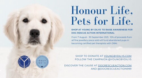 Dilys’ Collection Partners with Dog Rescue Action International to Launch Online Charity Campaign: ‘Honour Life, Pets for Life’