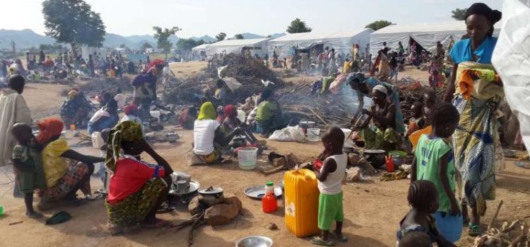 17 Sokoto Communities Relocate To Niger Republic Over Bandits’ Attacks