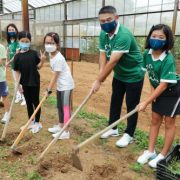 Hang Lung Nationwide Volunteer Day Promotes Low-Carbon Living and Provides Care to People in Need