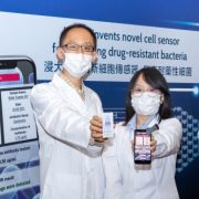 Hong Kong Baptist University invents novel cell sensor for rapid and low-cost screening of drug-resistant bacteria