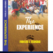 Okowa, Bello, Ihedioha, Others For Book Launch
