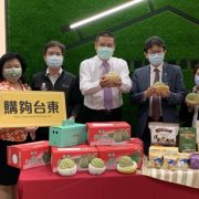 Taitung and Japan discuss quarantine and inspection procedures as well as marketability challenges for Taitung’s pineapple sugar apples