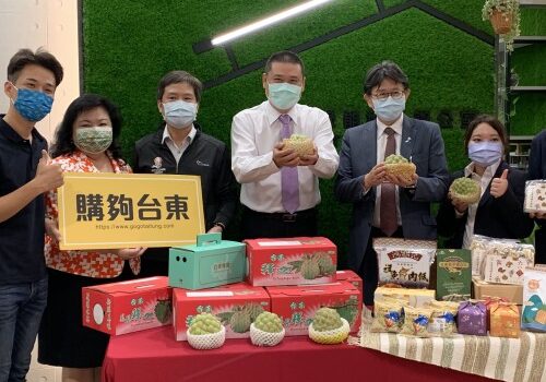 Taitung and Japan discuss quarantine and inspection procedures as well as marketability challenges for Taitung’s pineapple sugar apples