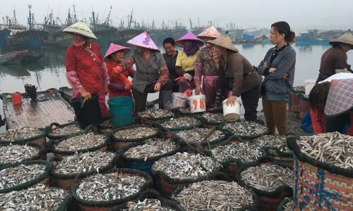 Sink or Swim: Asia’s marine fisheries at risk of collapse, leading scientists warn