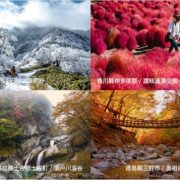 Global travel guidebook picks: Recommended Travel Destinations for 2022, Shikoku selected as one of the top 10 regions!