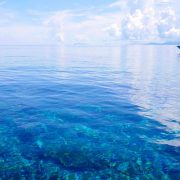 Teaching key to better ocean protection, says UNESCO chief