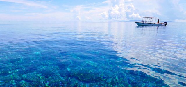 Teaching key to better ocean protection, says UNESCO chief