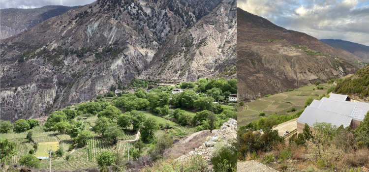 Robert Parker Wine Advocate’s China: Fine Wine 2021 report Highlights Progressive Estates and Increased Diversity of Wines in Its Second Year