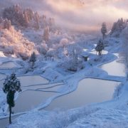 Discover Niigata, the “Snow Country” of Japan