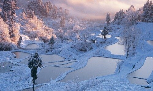 Discover Niigata, the “Snow Country” of Japan