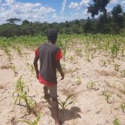 “At least  55% of crises can be predicted but less than 1% of humanitarian funding is released early”