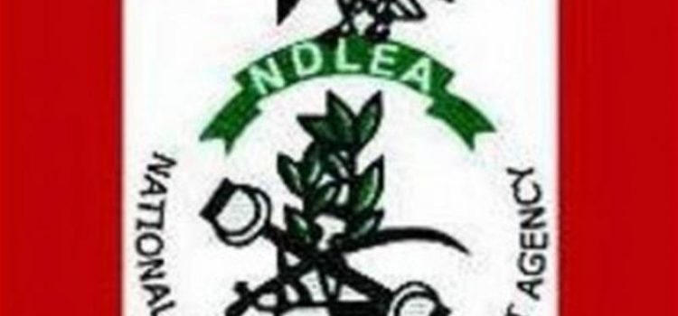 Actors Guild Partners NDLEA On Sensitisation Against Drug Abuse