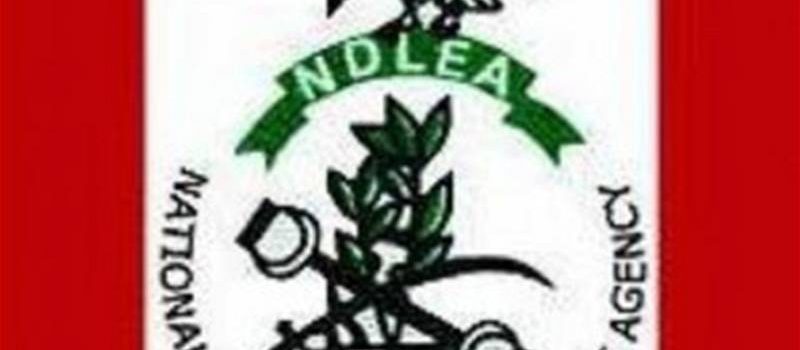 Actors Guild Partners NDLEA On Sensitisation Against Drug Abuse