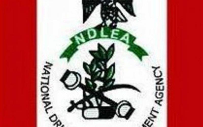 Actors Guild Partners NDLEA On Sensitisation Against Drug Abuse